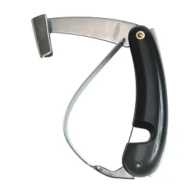 Lesnický črták SORT 239-OH-1