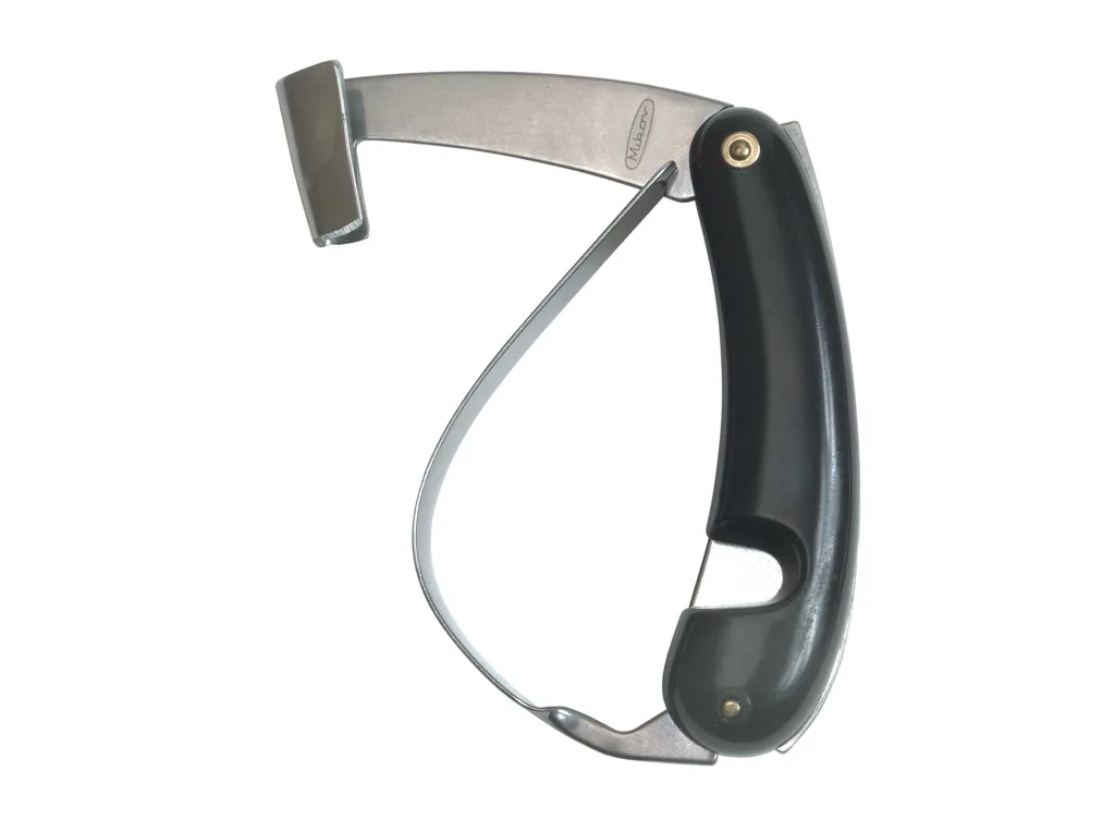 Lesnický črták SORT 239-OH-1